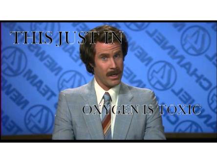 Thanks Ron, now for the weather....